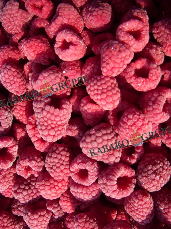 Frozen (IQF) Raspberries 43